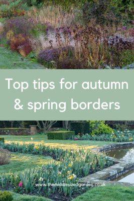 Brilliant border maintenance – what to do now for next summer’s success