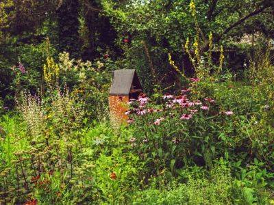 Leave Gardens Wild With Natural Landscaping Ideas
