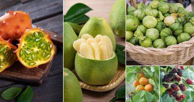 34 Man Made Fruits that Will Surprise You
