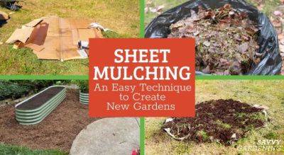 Sheet Mulching: A Simple Way to Make New Gardens and Paths