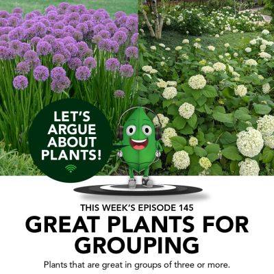 Episode 145: Great Plants for Grouping