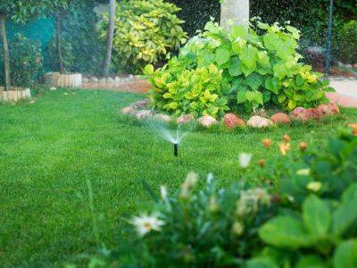 Hydrozoning: A More Water-Efficient Way To Garden