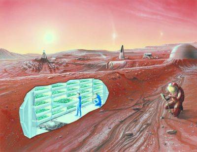 A Comprehensive Blueprint for Life on Mars