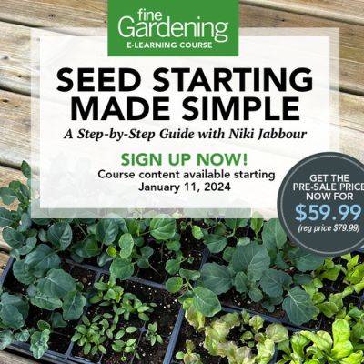 Seed Starting Made Simple: A Step-by-Step Guide with Niki Jabbour