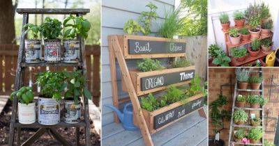 24 Ladder Herb Garden Ideas
