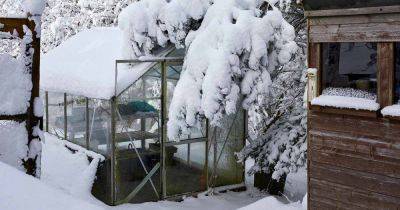 35 of the Best Crops for Your Winter Greenhouse