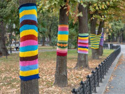 Yarn Bombing: What’s The Deal With Knitting On Trees?