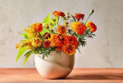 5 Facts About Marigolds You Probably Didn't Know