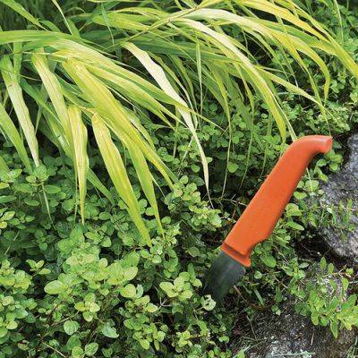 Readers Tips: Repurposed Tools in the Garden Used to Great Effect