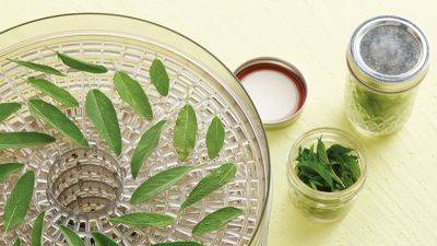 4 Easy Ways to Preserve Fresh Herbs from the Garden