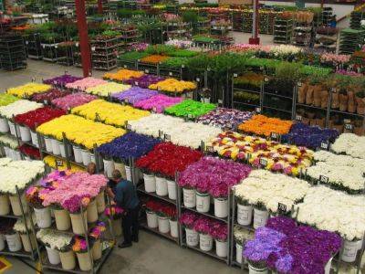 Brian Minter: United Flower Growers celebrates 60 years