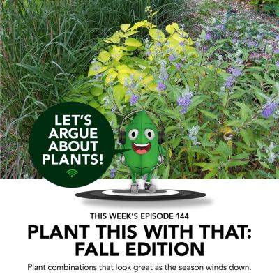 Episode 144: Plant This with That: Fall Edition