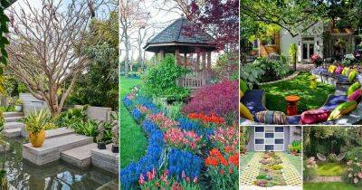 35 Fantastic Backyard Garden Ideas for 2023