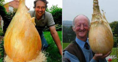 World's Biggest Onion - Breaks Guinness World Records!