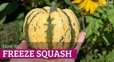 How to Freeze Squash: Tips to Preserve Your Harvest for Recipes