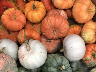 Brian Minter: All hail the great pumpkin for Halloween