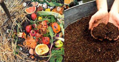 Composting Made Easy: 7 Simple Steps to Follow