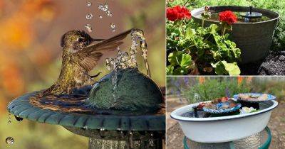 9 DIY Hummingbird Birdbath Ideas