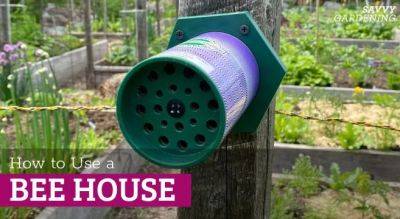 How to Use a Bee House: Tips for Installation and Care