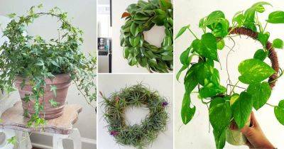 17 DIY Indoor Plant Wreath Ideas