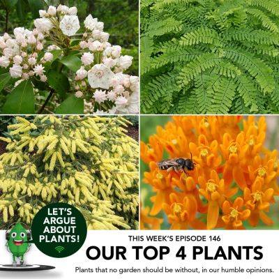 Episode 146: Best of LAAP: Our Top 4 Plants