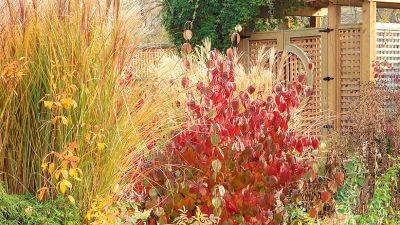 Fall Foliage Combinations Full of Texture