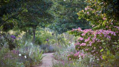 Jinny Blom reflects on the identity of our gardens | House & Garden