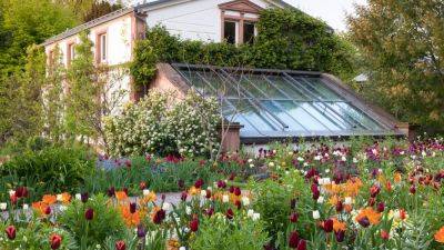 The inextricable link between gardening and happiness | House & Garden