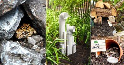 22 DIY Frog House Ideas to Kill Pests Naturally