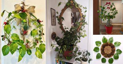 15 Beautiful DIY Pothos Wreath Ideas