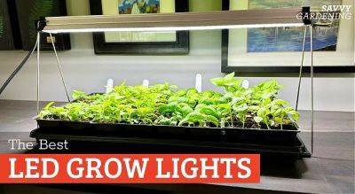 The Best LED Grow Lights for Indoor Gardening