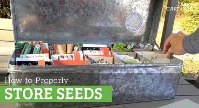 Seed Storage: Options and Tips for Your Seed Packet Collection