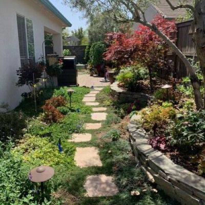 Kathy’s Garden Transformation in Sacramento