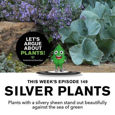 Episode 149: Silver Plants