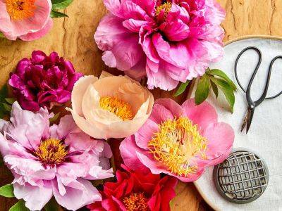 Peony Is the 2024 Flower of the Year, According to 1-800-Flowers