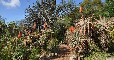 Gardens to visit in South Africa