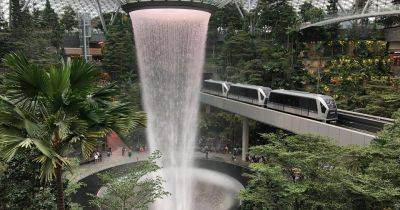 Gardens to visit in Singapore