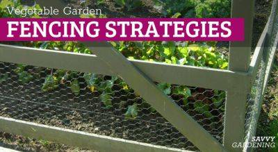 Fencing a Vegetable Garden: Options and Ideas