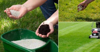 How Often Can I Apply Sulfur to My Lawn | Sulfur Application in Garden