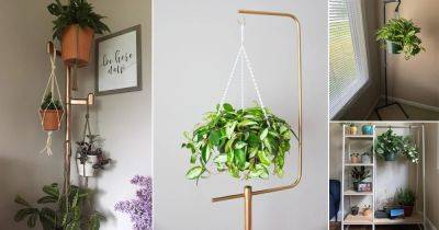 15 DIY Hanging Plant Stand Ideas