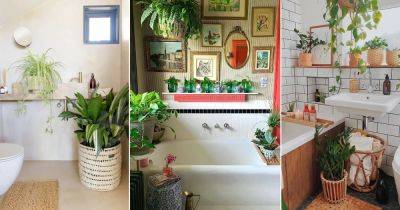 8 Tricks to Keep Plants Healthy in a Bathroom