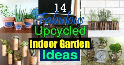 14 Fabulous Upcycled Indoor Garden Ideas