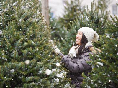 8 Mistakes To Avoid When Buying And Caring For A Christmas Tree