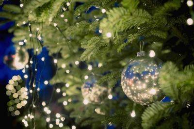 We've Been Lighting Our Christmas Trees All Wrong—Here's What to Do