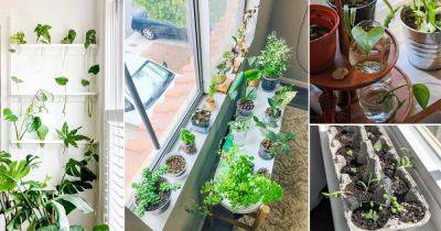 20 Indoor Window Propagation Station Ideas