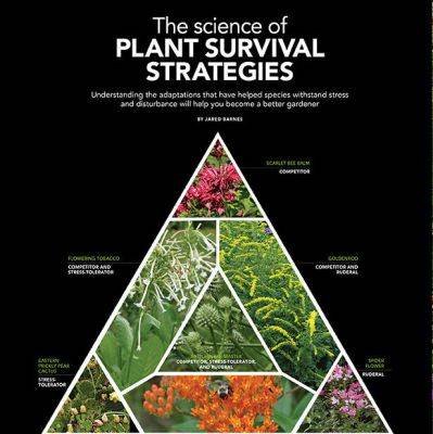 How to Use the Science of Plant Survival Strategies for a Healthier Garden