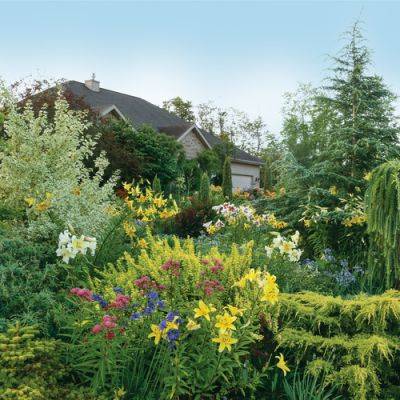 Designing Deep Garden Beds for Privacy and Interest in Your Outdoor Space