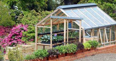 Greenhouse Gardening 101: How to Get Started