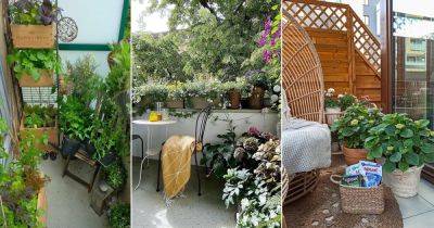 20 Best Balcony Gardens of May 2021 on Instagram