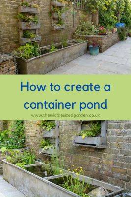 How to create a beautiful container pond to attract wildlife